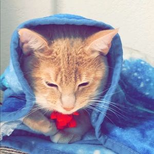 Meet your Posher, Kim